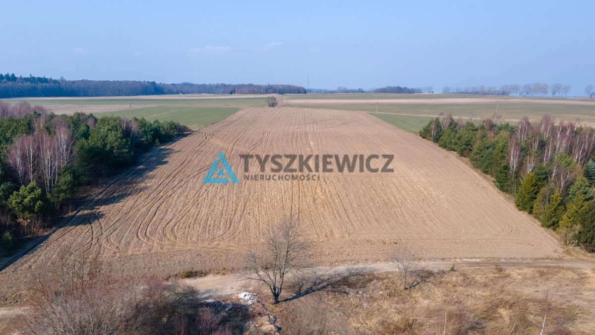 Działka rolna na sprzedaż Krokowa, Polna  10 724m2 Foto 6