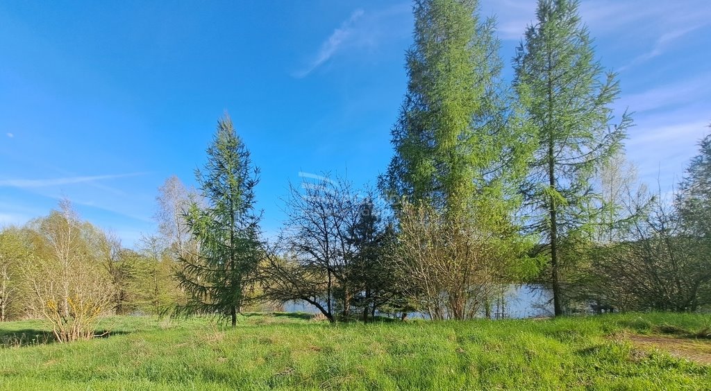 Działka rolna na sprzedaż Witramowo  14 800m2 Foto 17