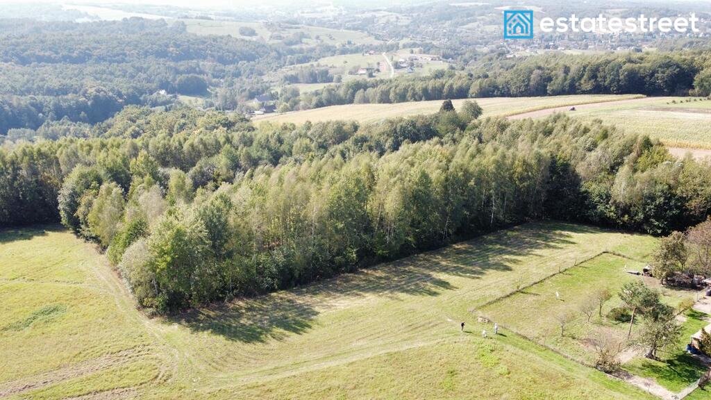 Działka budowlana na sprzedaż Borówki  2 742m2 Foto 1