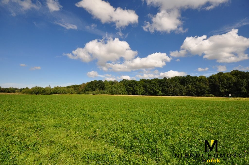 Działka inna na sprzedaż Smolne  3 097m2 Foto 7