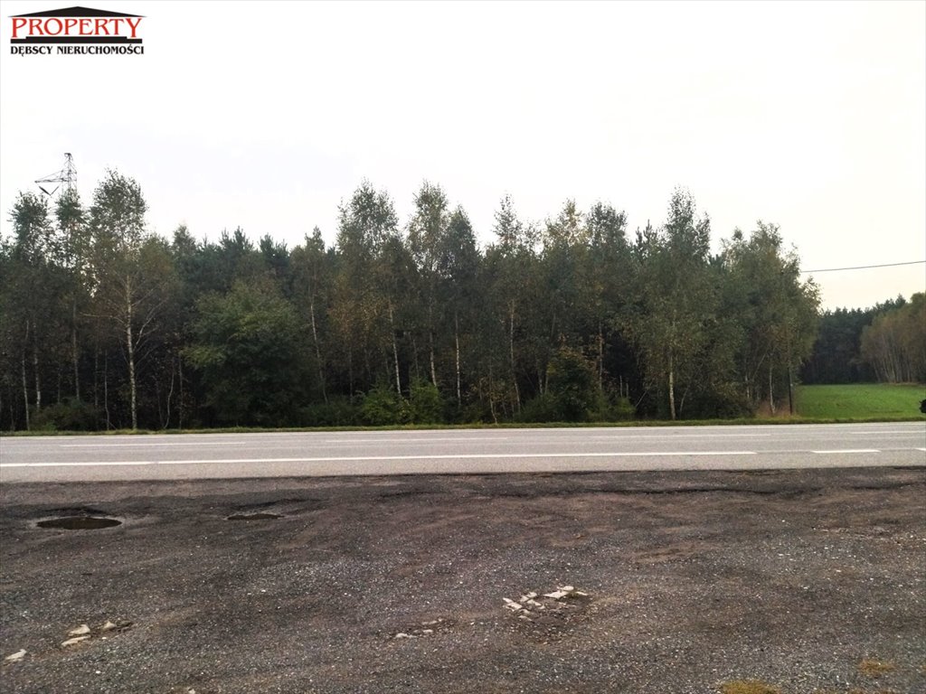 Działka leśna na sprzedaż Barłogi, BARŁOGI  11 400m2 Foto 10