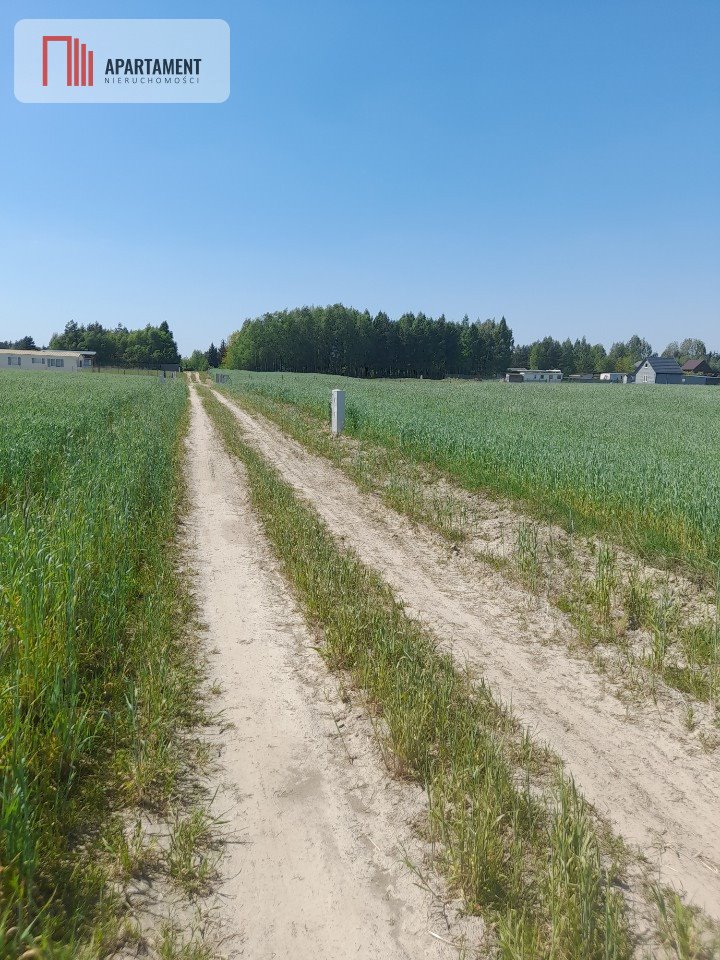 Działka rekreacyjna na sprzedaż Niemojewo  800m2 Foto 7