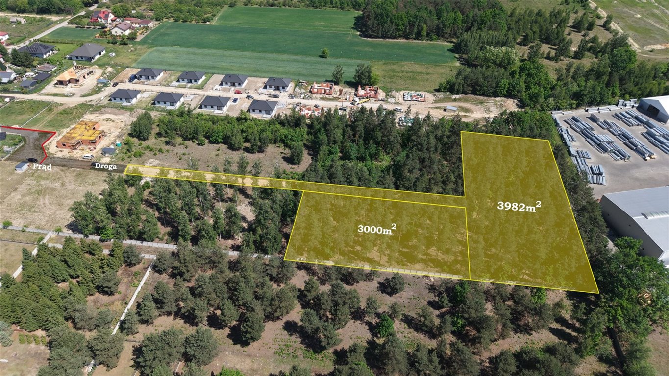 Działka leśna 3982 m² w Sochaczewie (własny las, cisza) Sochaczew, Wypalenisko  3 982m2 Foto 1