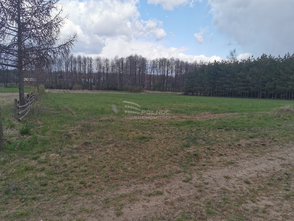 Działka rolna na sprzedaż Grabowiec  6 700m2 Foto 14