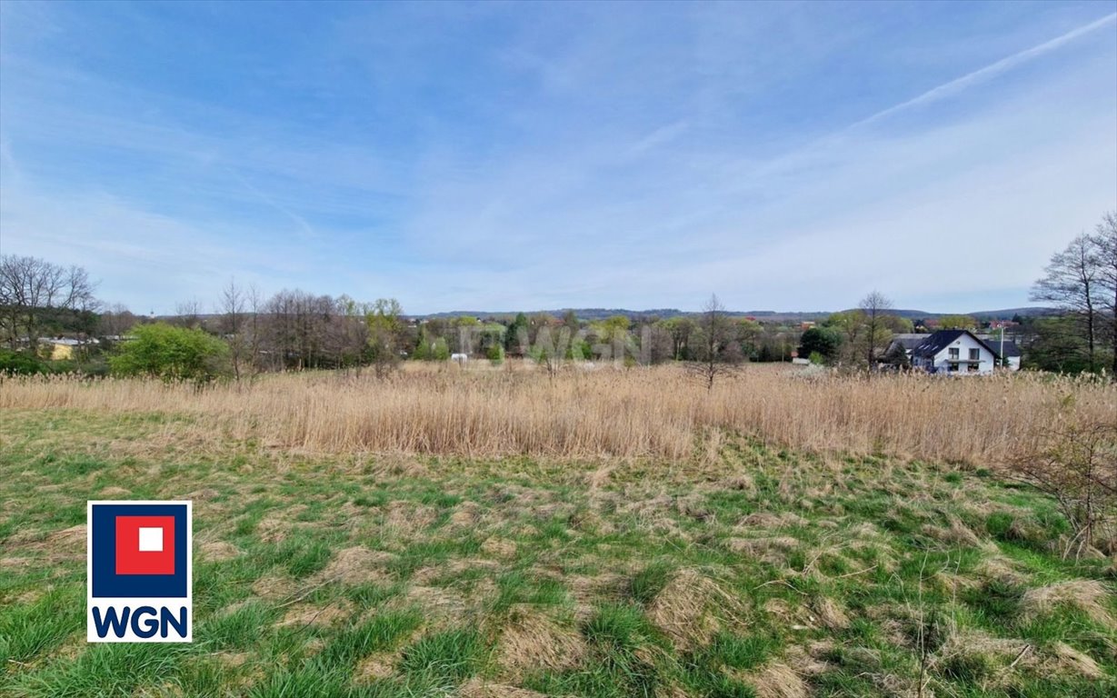 Działka budowlana na sprzedaż Tenczynek, Tenczynek, Ogródkowa  4 900m2 Foto 2