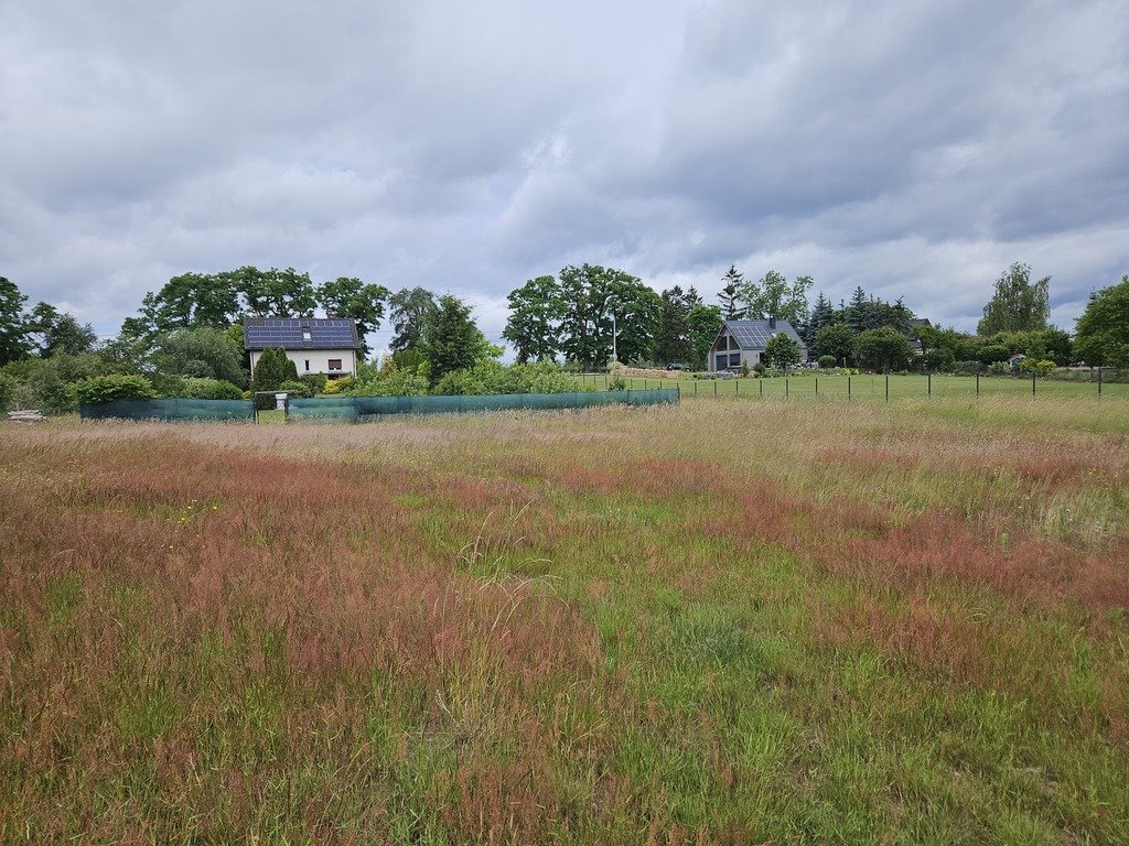 Działka budowlana na sprzedaż Klepin  1 204m2 Foto 6