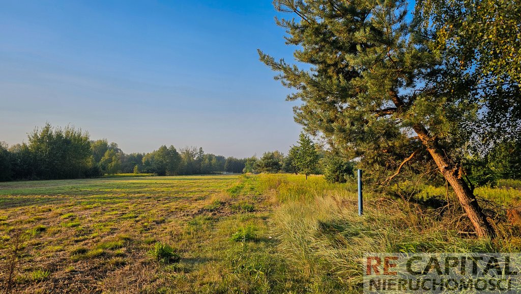 Działka budowlana na sprzedaż Borzęcin Duży  1 500m2 Foto 4