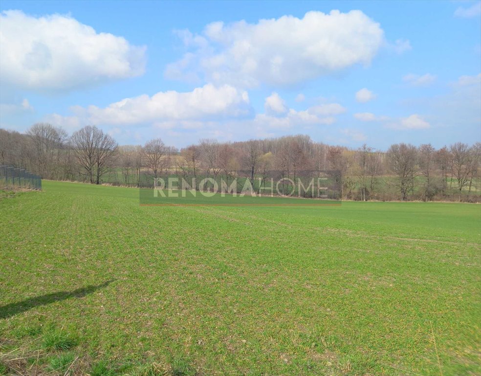 Działka budowlana na sprzedaż Witoszów Górny  1 518m2 Foto 8