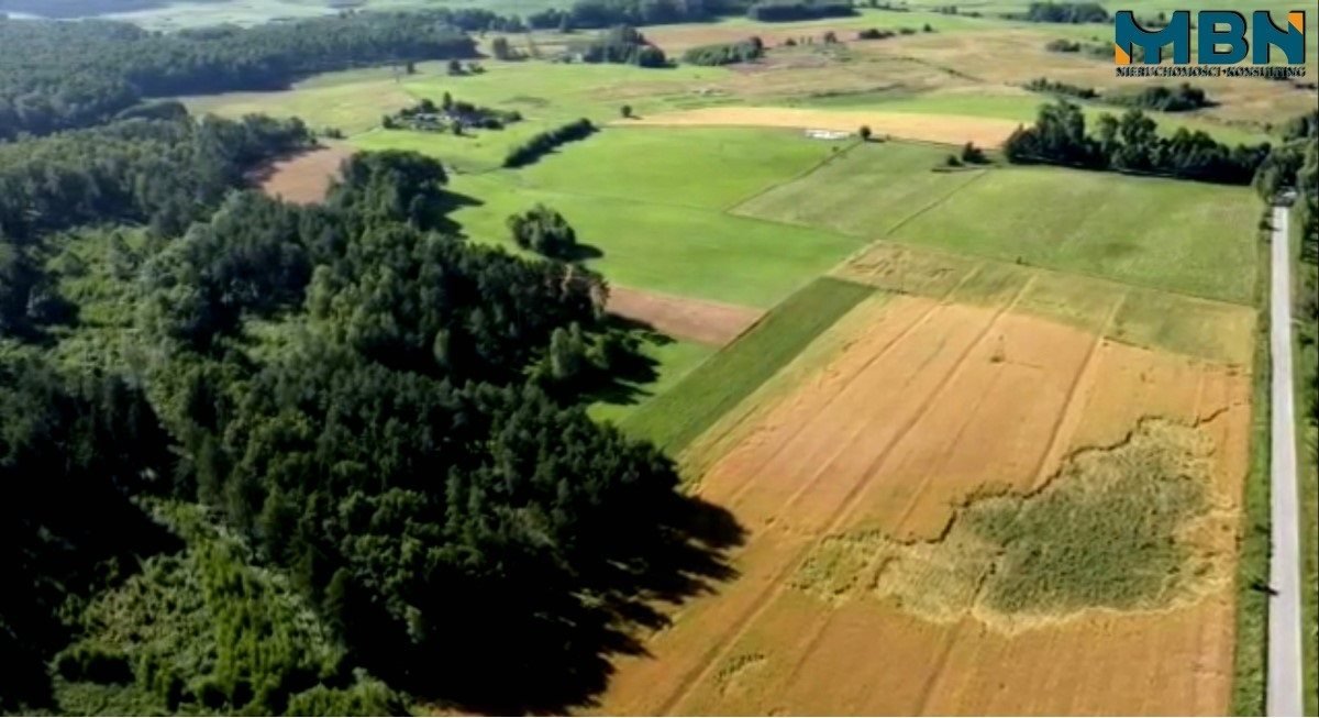 Działka budowlana na sprzedaż Bogacko, Bogacko  3 005m2 Foto 4