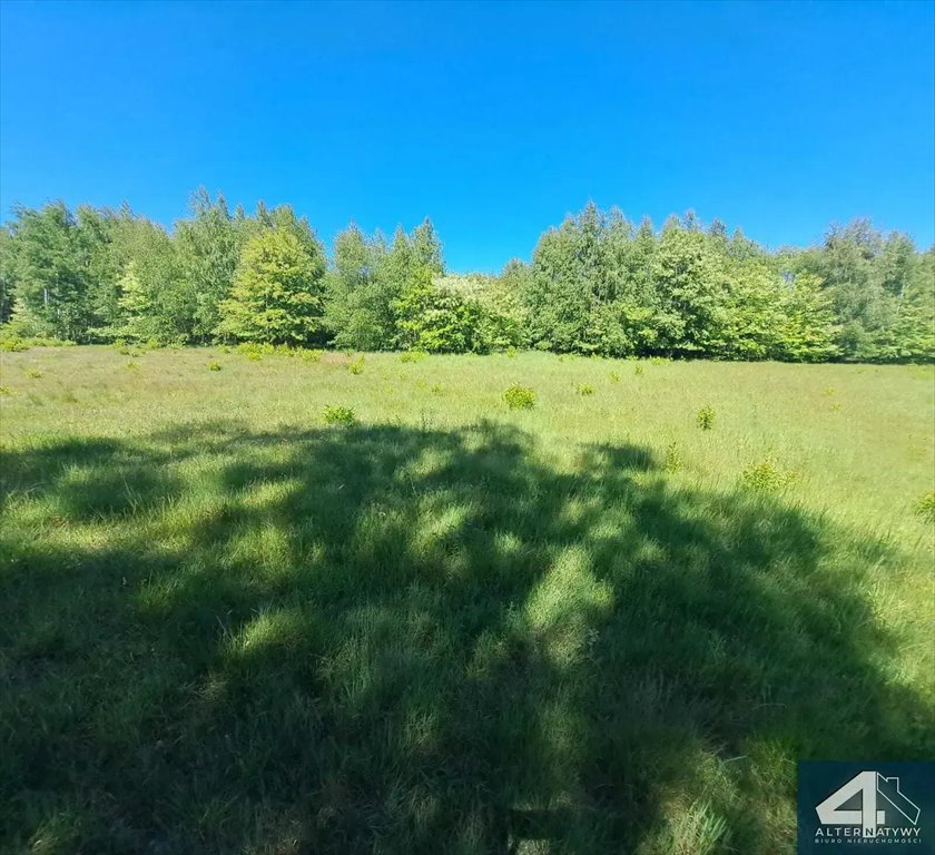 Działka inna na sprzedaż Pabianice, Pabianicka  1 500m2 Foto 5