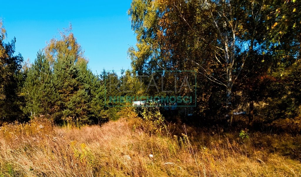 Działka budowlana na sprzedaż Jastrzębnik  1 300m2 Foto 3