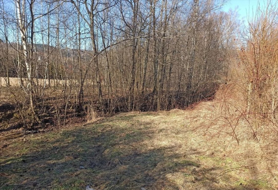 Działka budowlana na sprzedaż Milówka  1 300m2 Foto 11