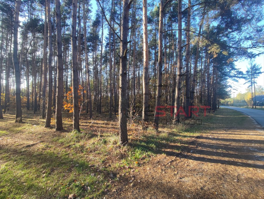 Działka rolna 12 390 m² z możliwością zabudowy, blisko lasów Stare Budy  12 390m2 Foto 1