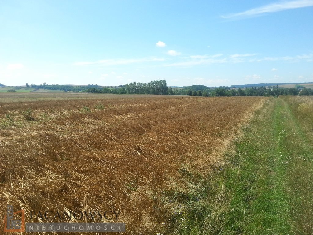 Działka rolna na sprzedaż Brończyce  11 200m2 Foto 3