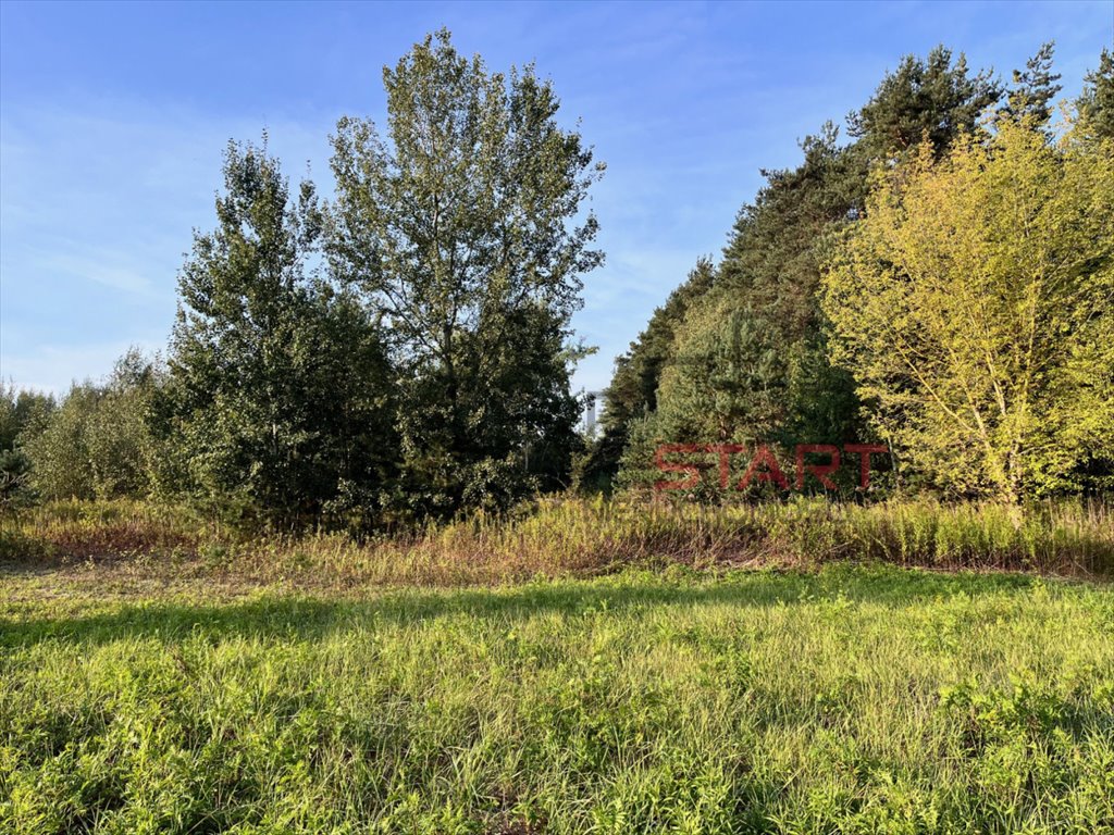Urokliwa działka z lasem i dużą rolą, 28 400 m2 Nosy  28 400m2 Foto 1