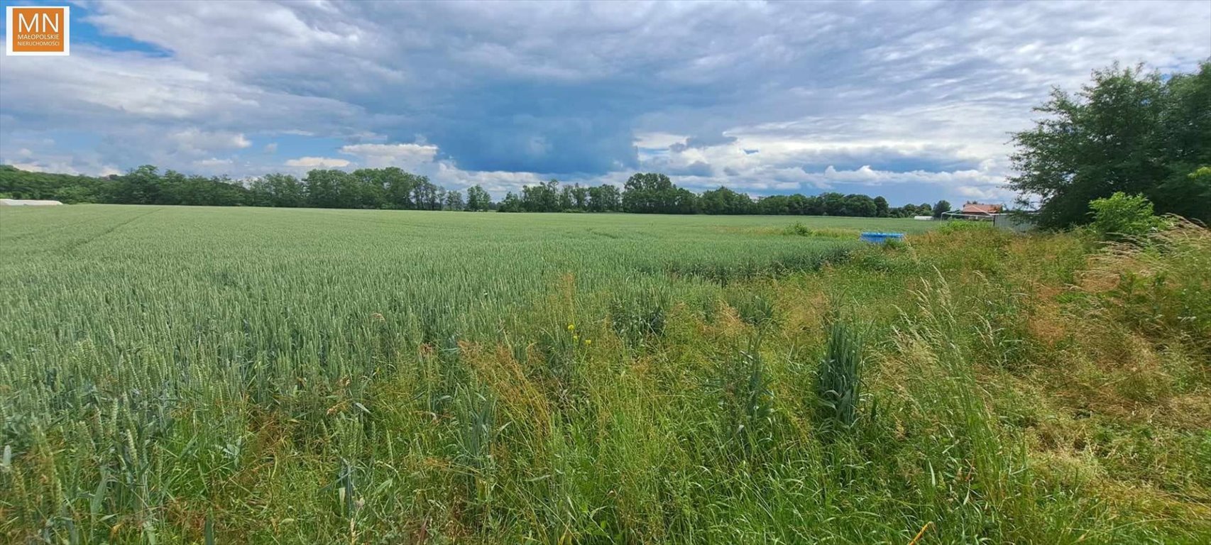 Działka budowlana na sprzedaż Hebdów  4 400m2 Foto 8