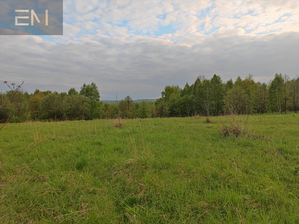 Działka budowlana na sprzedaż Hadle Kańczuckie  3 300m2 Foto 9