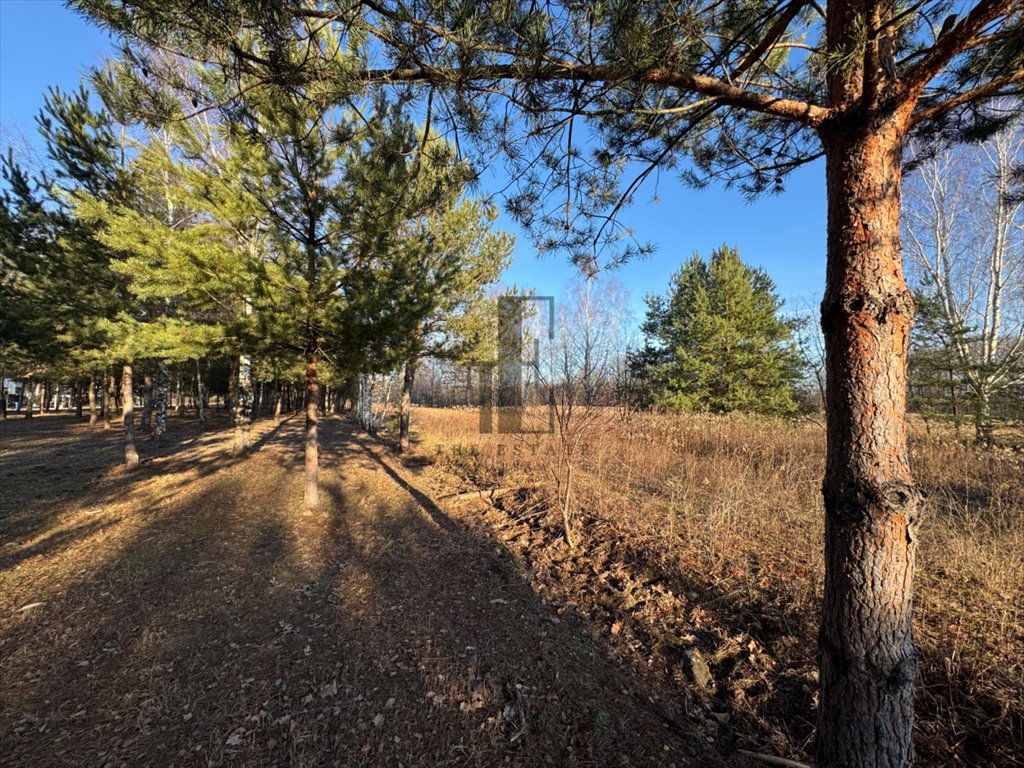 Działka budowlana na sprzedaż Lipowo  1 800m2 Foto 4