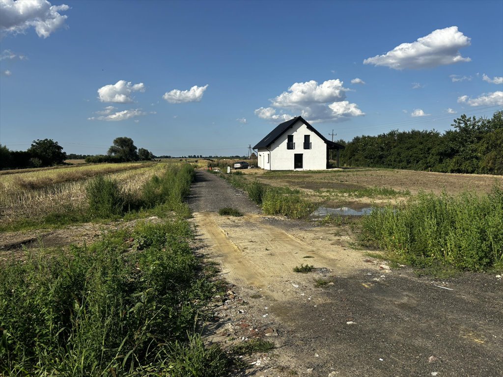 Działka budowlana na sprzedaż Malbork  1 297m2 Foto 1