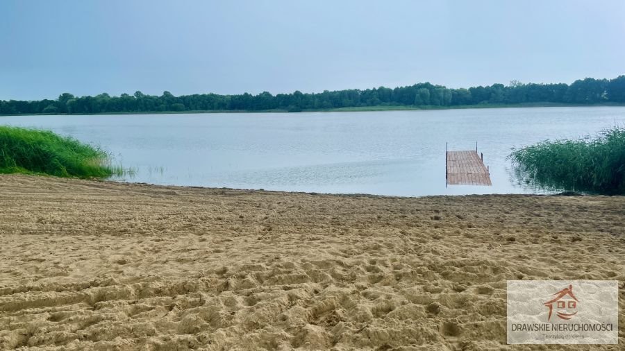 Działka rolna na sprzedaż Nętno, Nętno  12 400m2 Foto 6