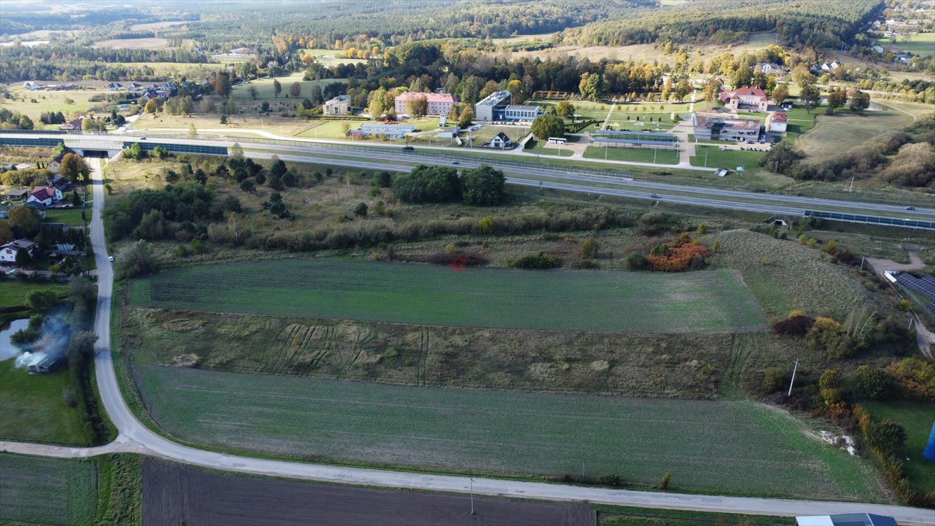 Działka budowlana na sprzedaż Starochęciny  4 350m2 Foto 5