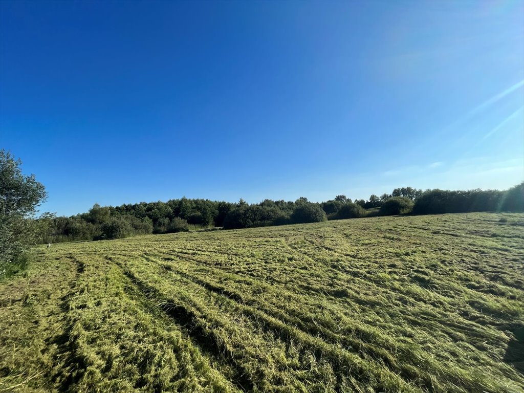 Działka rolna na sprzedaż Siedliszcze  74 700m2 Foto 2