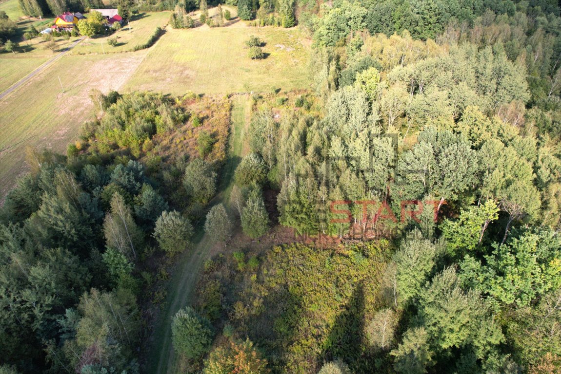 Działka budowlana na sprzedaż Bartoszówka, Borówkowa  1 481m2 Foto 2