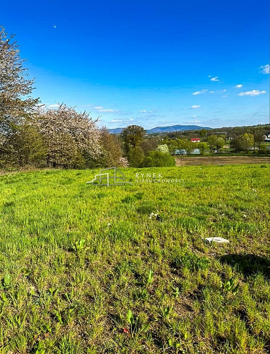 Działka inna na sprzedaż Międzyrzecze Dolne  3 030m2 Foto 4