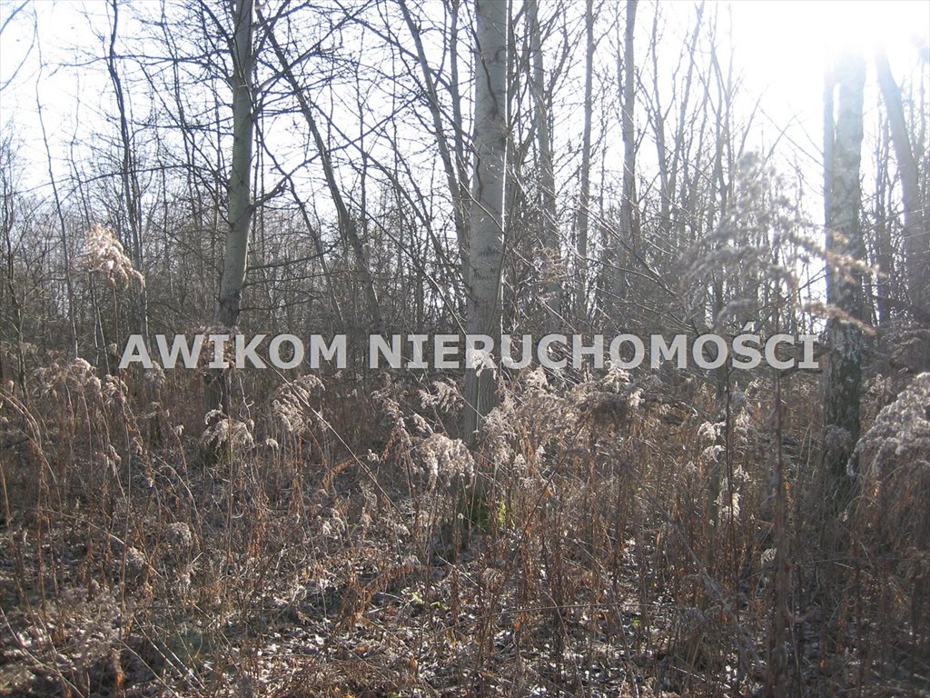 Duża działka 5830 m² w Milanówku z planem zagospodarowania Milanówek, Milanówek  5 830m2 Foto 1