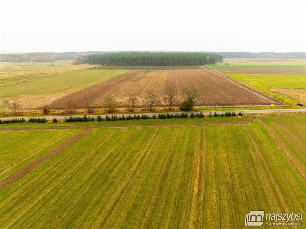 Działka budowlana na sprzedaż Węgorza, Wieś  1 498m2 Foto 9