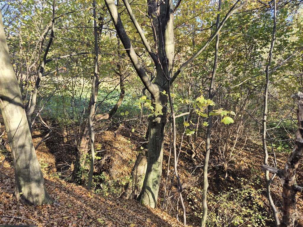 Działka rolna na sprzedaż Jasionka  7 000m2 Foto 9