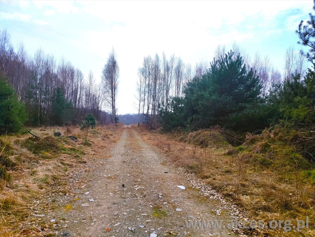 Do sprzedania działka 3 347 m² pod dom w Starym Łajszczewie Stary Łajszczew  3 347m2 Foto 1