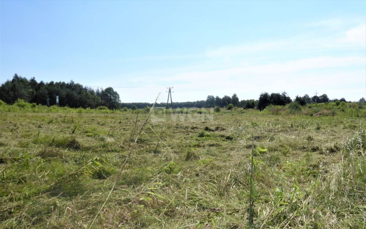 Działka inwestycyjna na sprzedaż Klepaczka, Klepaczka  4 700m2 Foto 2