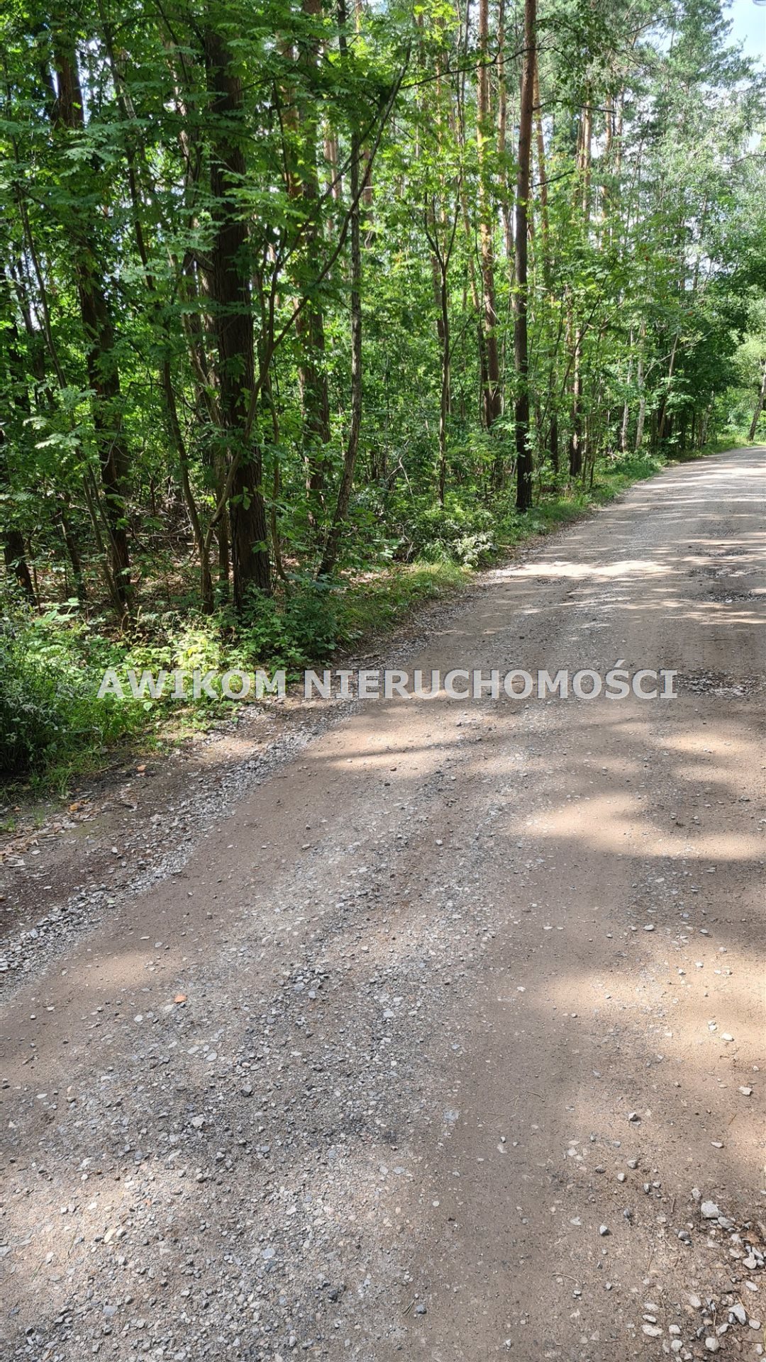 Działka leśna na sprzedaż Siestrzeń  11 500m2 Foto 1