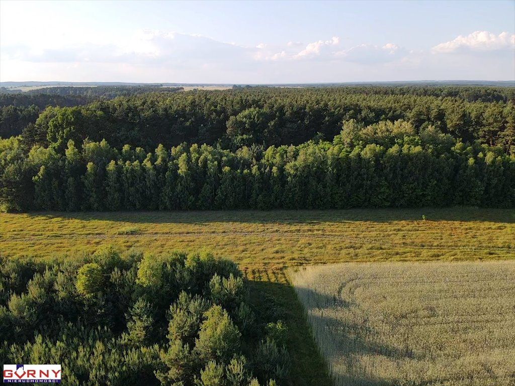 Działka rolna na sprzedaż Bąkowa Góra  4 000m2 Foto 7