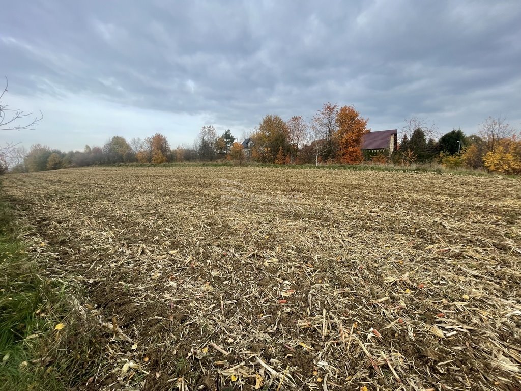 Działka budowlana na sprzedaż Dobczyce, Skrzynecka  7 600m2 Foto 5