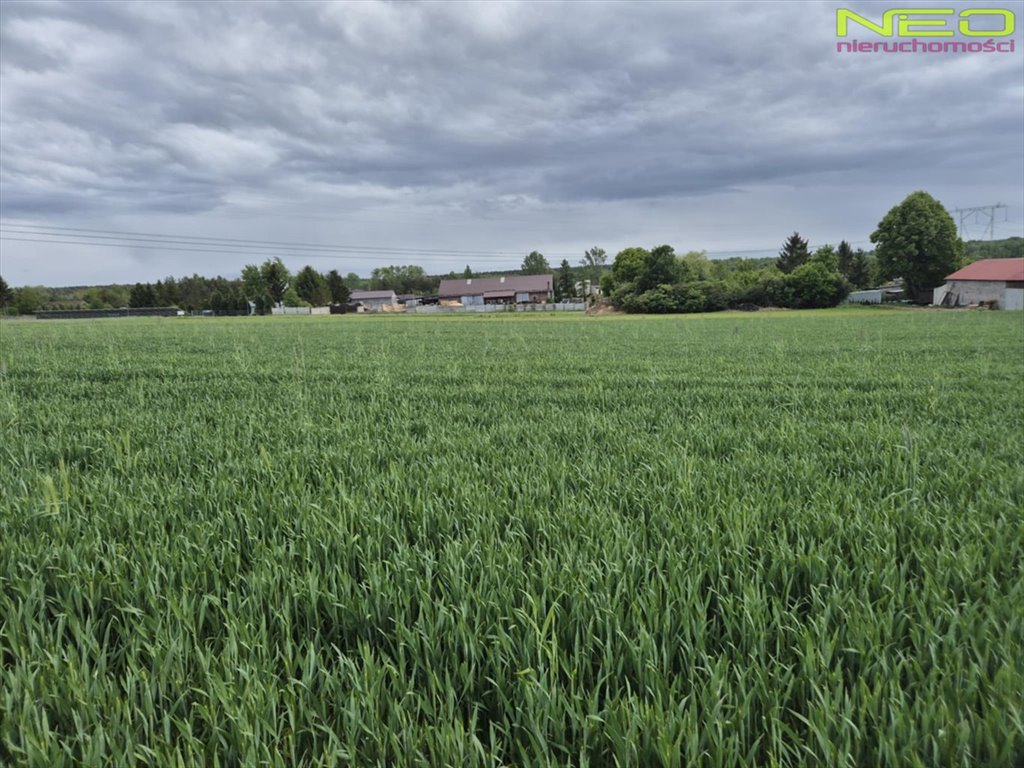Działka budowlana na sprzedaż Opatów  4 470m2 Foto 1
