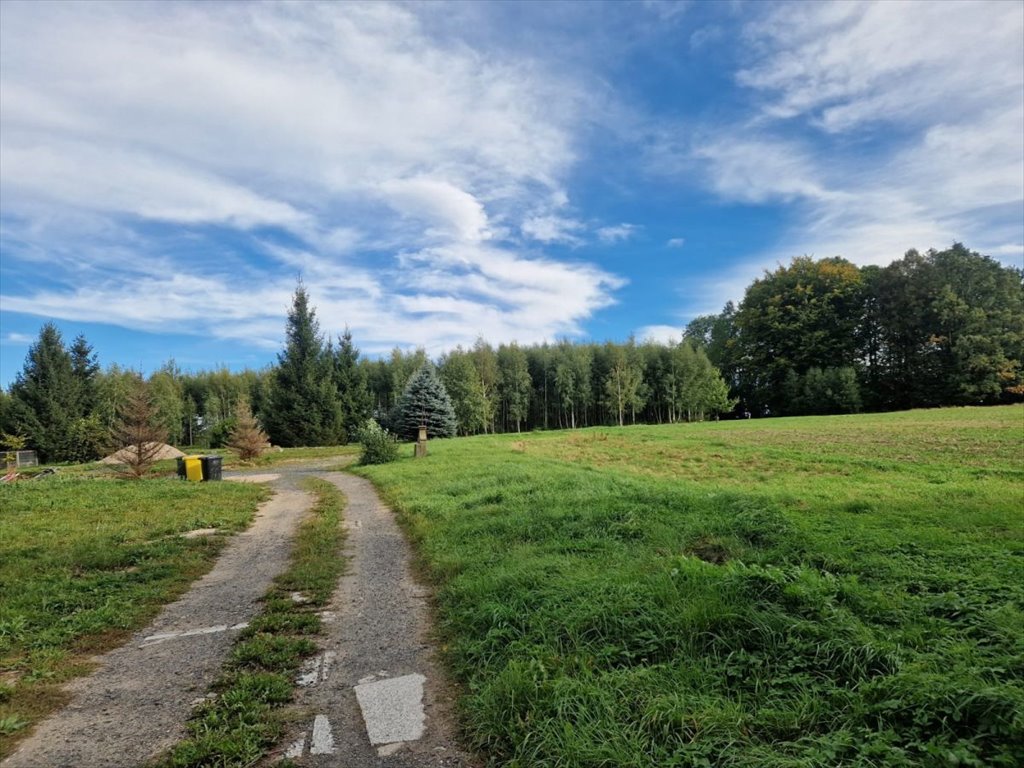 Dom na sprzedaż Chmieleń  420m2 Foto 7