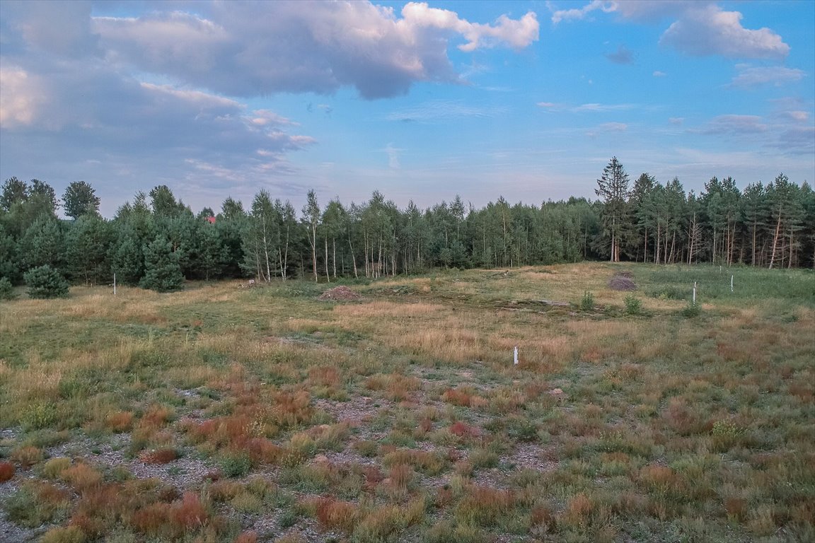 Działka inna na sprzedaż Kowalewo  1 005m2 Foto 3