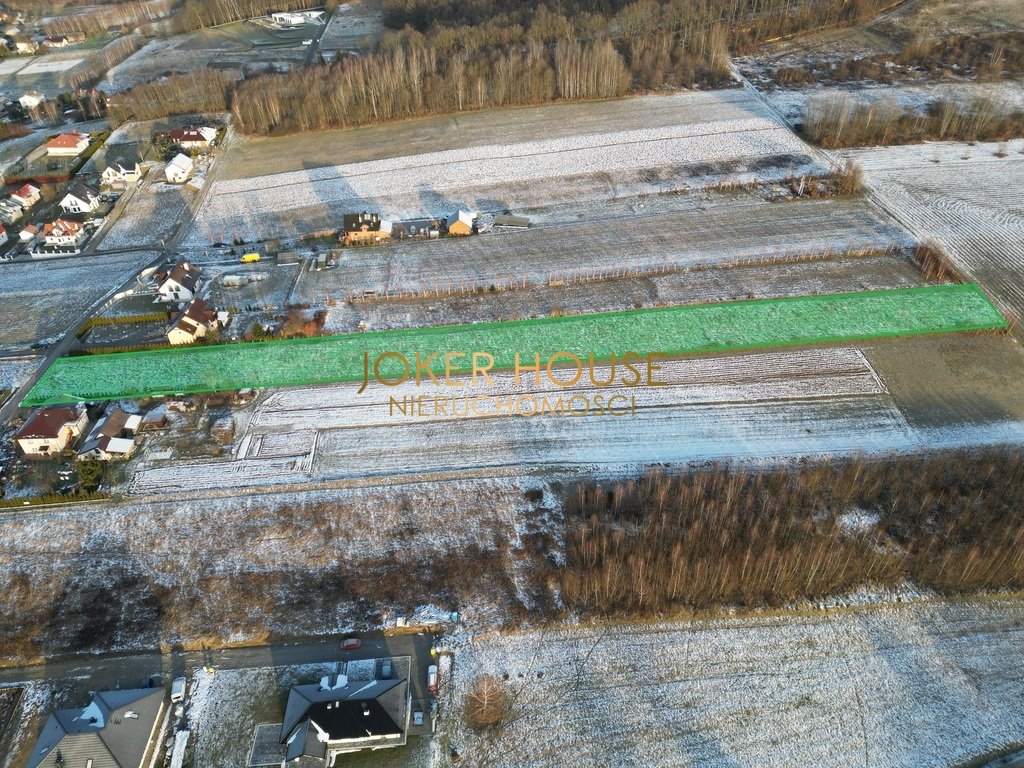 Działka rolna na sprzedaż Borek Stary  5 500m2 Foto 4