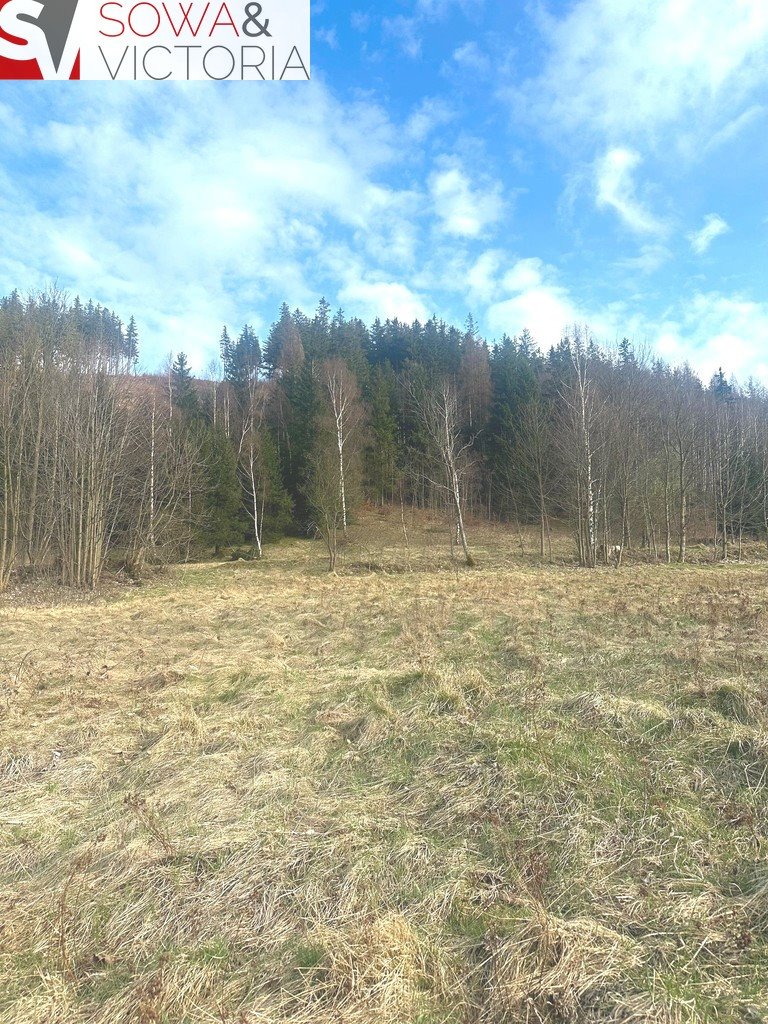 Działka budowlana na sprzedaż Leszczyniec  1 500m2 Foto 7