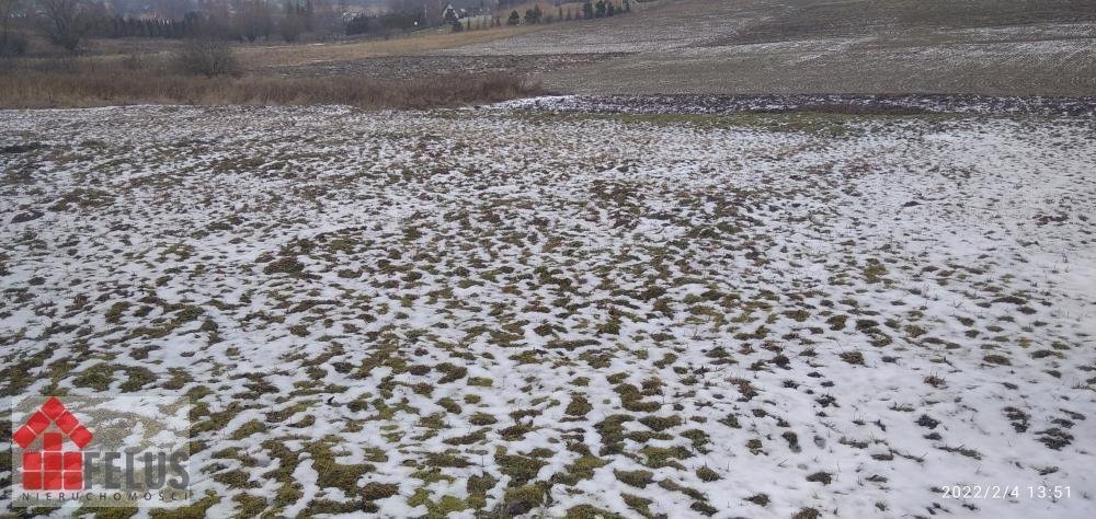 Działka inna na sprzedaż Masłomiąca  1 200m2 Foto 5