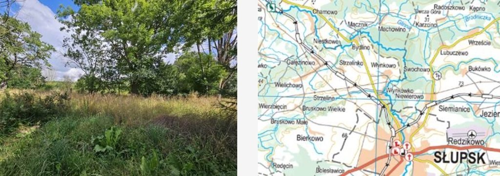 Działka rolna w Redęcinie 0,36 ha, atrakcyjna cena Redęcin  3 608m2 Foto 1