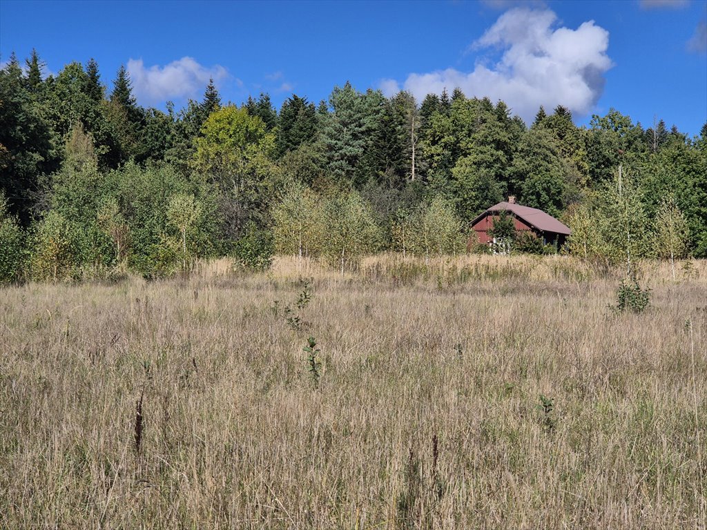 Działka budowlana na sprzedaż Harklowa  6 600m2 Foto 10