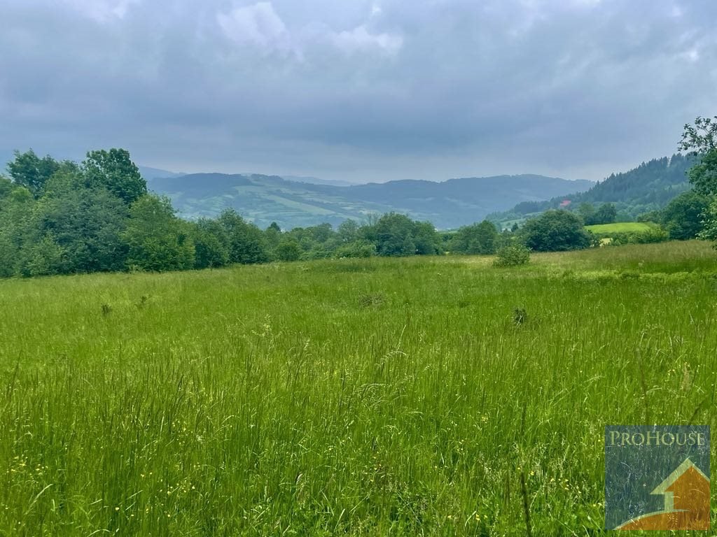 Działka rolna na sprzedaż Kamienica  5 600m2 Foto 7