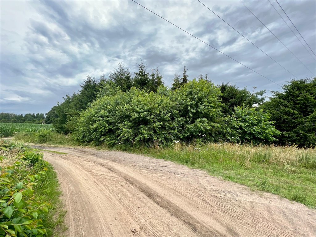 Działka rolna na sprzedaż Obroty, Obroty  7 300m2 Foto 14