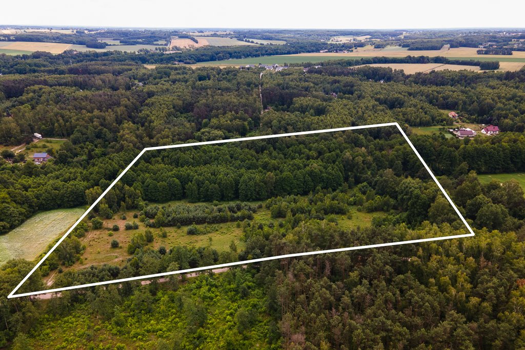 Działka 53 400 m² z pięknym starodrzewem i strumykiem Boginia  53 419m2 Foto 1