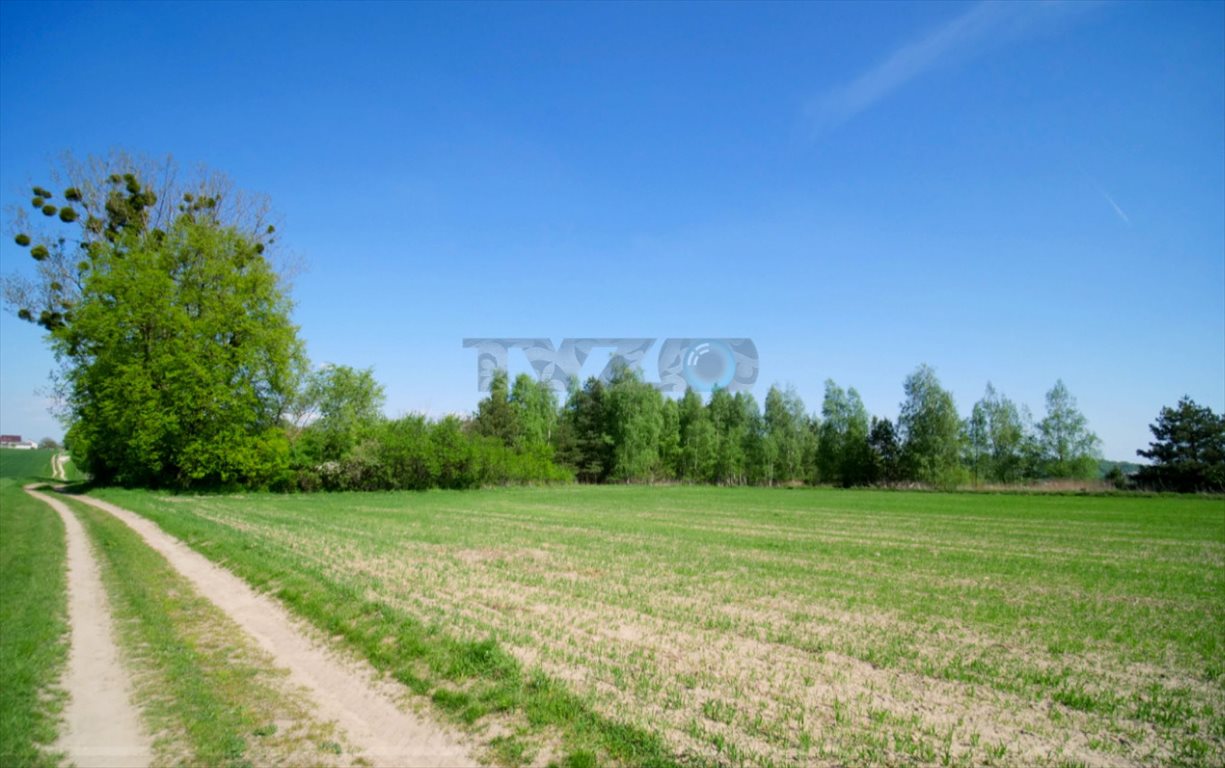 Działka budowlana na sprzedaż Wojszyn, Wojszyn  6 000m2 Foto 3