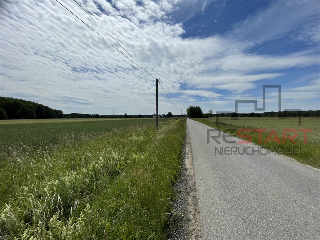 Działka 1,5 ha z warunkami zabudowy - blisko Żyrardowa Studzieniec  4 707m2 Foto 1