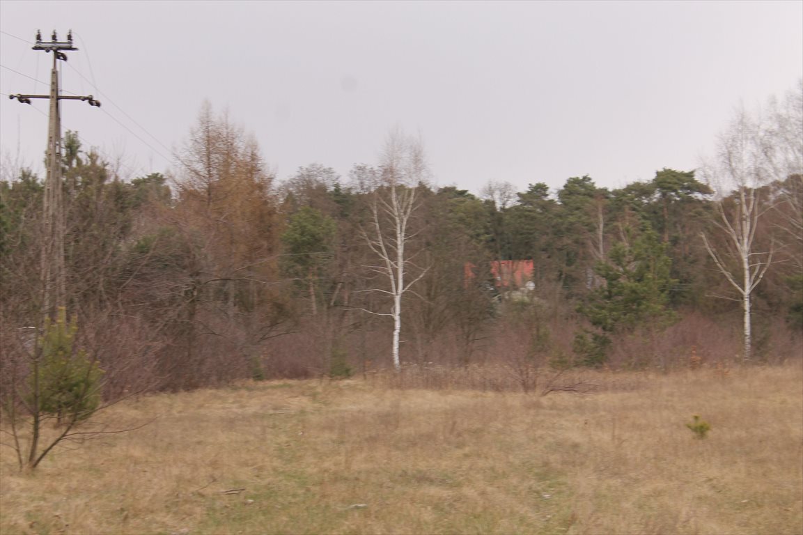 Działka rolna na sprzedaż Konstantynów Łódzki, Żabiczki 11 000m2 Foto 1 Działka rolna na sprzedaż Konstantynów Łódzki, Żabiczki 11 000m2 Foto 1